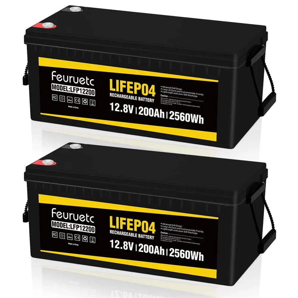 LiFePO4 Battery 12V 200AH Lithium Battery, Built-in BMS, 5000+ Deep Cycles, Suitable for Replacing Most of Backup Power  (2PCS)