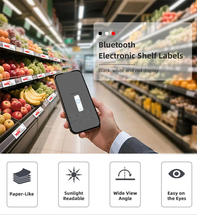 Рисунок 6 - Esl электронный 5 шт. 2