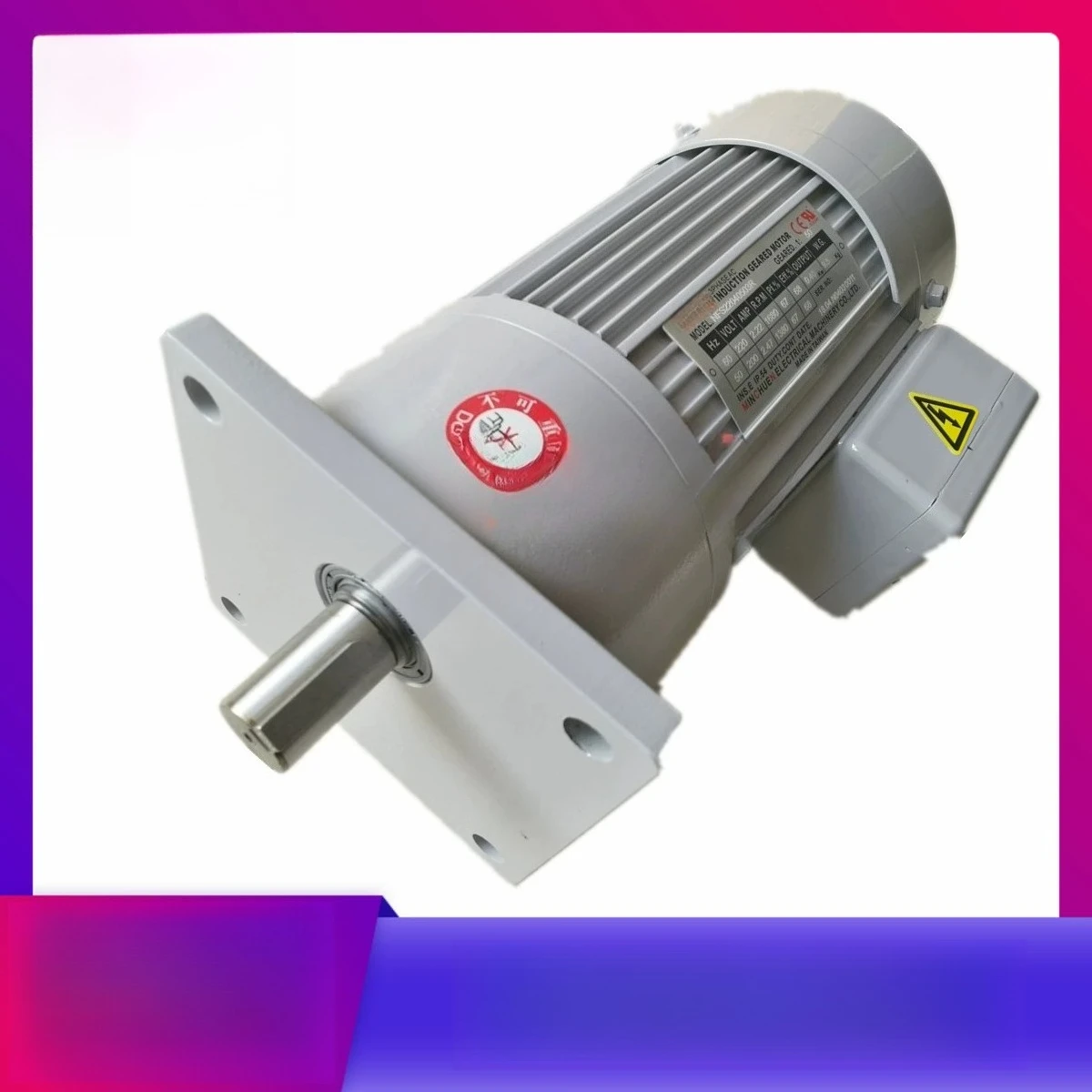 2026 new model Chip Removal Gear Motor NFS22020-A NFS22020503L NFS22040503R