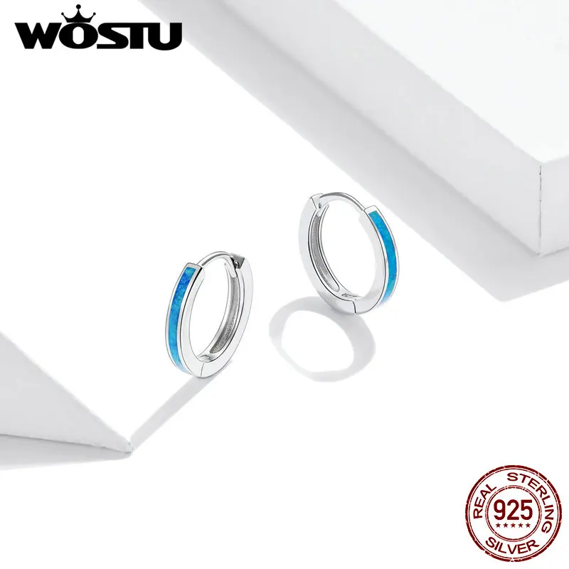 WOSTU Real 925 Sterling Silver Simple Opal Hoop Earrings Blue Circle Earrings For Women Original Silver 925 Jewelry CQE992