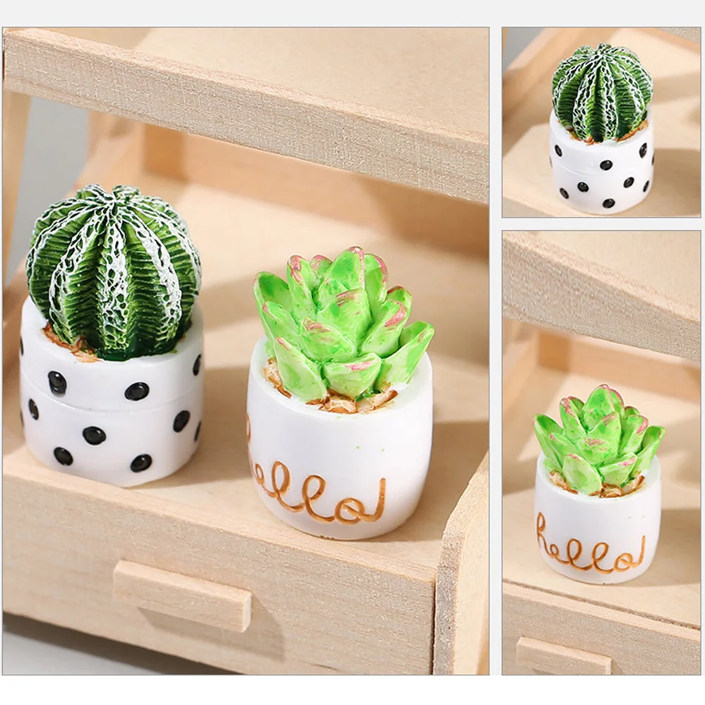 Desktop Small Potted DIY Ornaments Desktop Customizable DECORATIONS Package Content Relaxation And Therapeutic