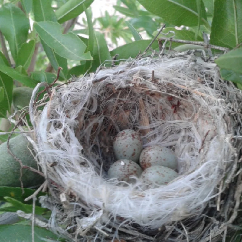 1 قطعة 360 درجة الدورية ضوء LED مصباح الهندسة ل 1/14 حفارة Tamiya مركبة يتم التحكم بها عن بُعد مقطورة قلابة سكانيا 770S سيارة لتقوم بها بنفسك أجزاء