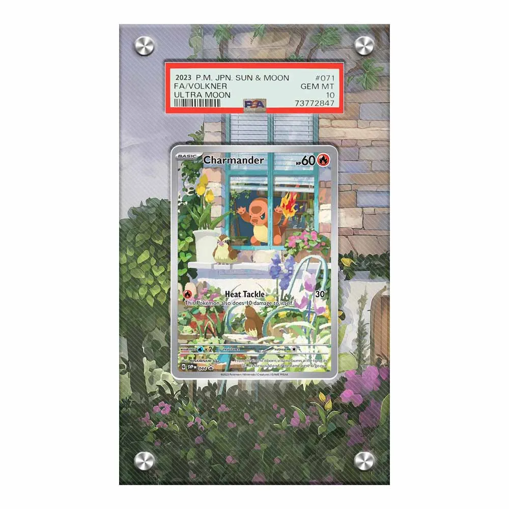 Art Display Case for Dawn Meowth Vulpix