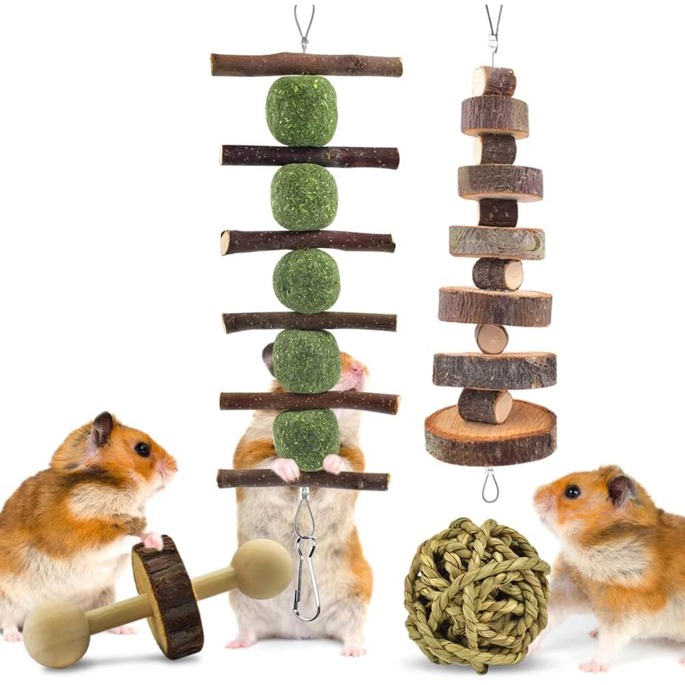 Thumbnail 3 - #13 Trending Small Animal Supplies Right Now