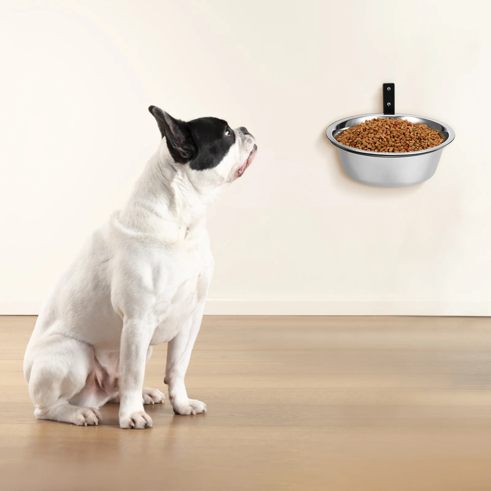 

1Set Raised Dog Bowl Elevated Pet Food Water Bowl Scratch Resistant Stainless Steel for Dogs Cats Modern Design Easy Maintenance