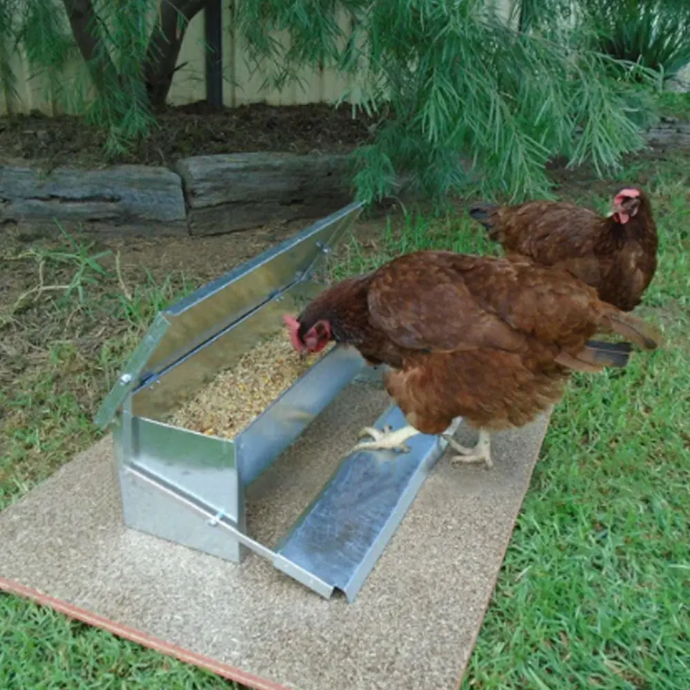 Factory Direct 2026 Stainless Automatic Chicken Feeder Treadle Self Opening Poultry Feeding Troughs Waterproof Ratproof Chicken