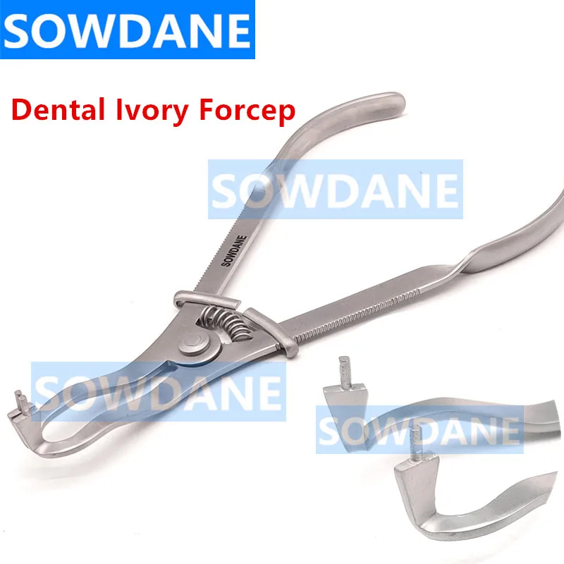 Stainless Steel Dental Matrics Forceps Matrice Matrix Ivory Forcep Rubber Dam Clamp Plier Dental Surgical Instrument Tool