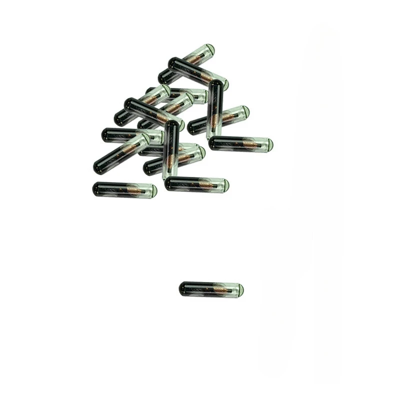 1/5/10/20/40/50/100 Pcs Wholesale ID48 48 Chip Anti-theft-Chip for Volkswagen/vw for Audi for Honda Car Keys view 5