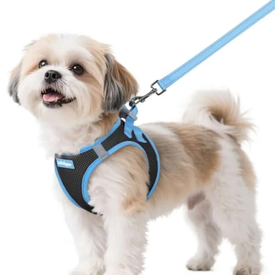 Dog Harness Small Sized and Leash Set, Step in Soft Vest Breathable Mesh, Easy Wear with Hook and Loop, Light and Reflective fo