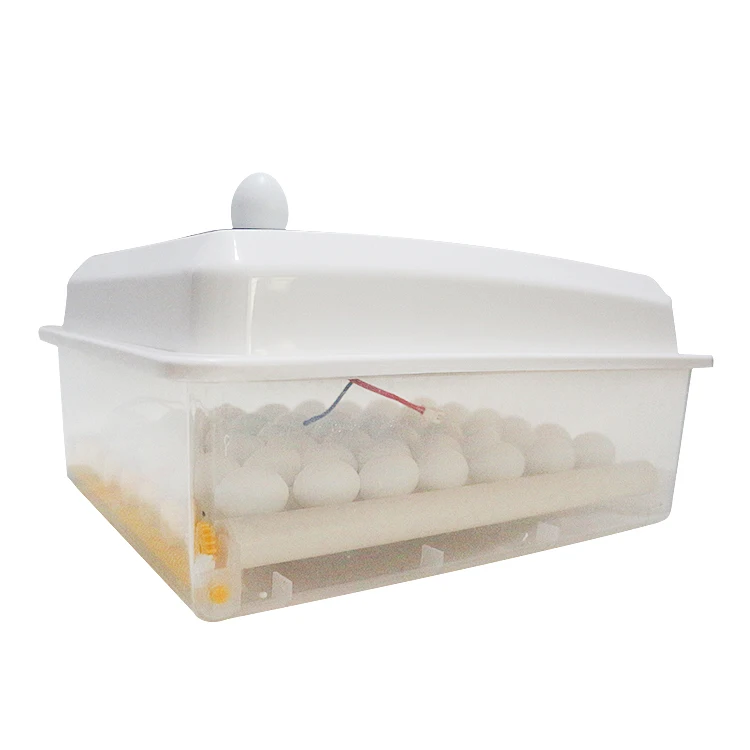6 Eggs Automatic Mini Chicken/Duck/Goose/Quail Egg Incubator with LED Display Uae