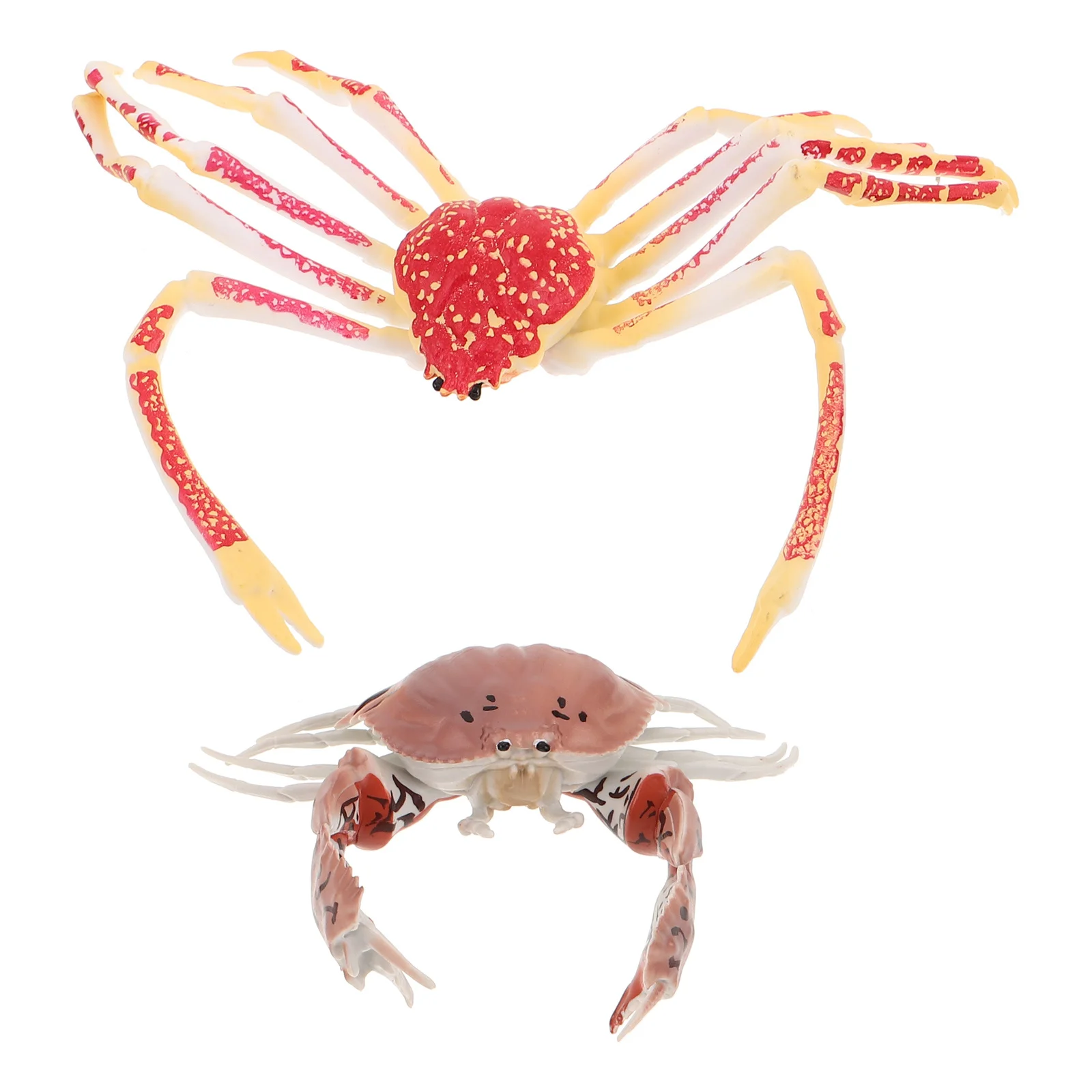 قطعتان من محاكاة سرطان البحر البلاستيكي الواقعي لتزيين الحيوانات التعلم المبكر سرطان البحر الصغير للأطفال الصغار التعليمي المعرفي