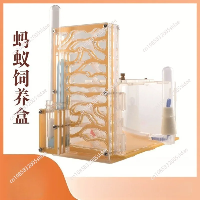 Global Moisturizing Acrylic Ant Nest for Pet Ants with Unique Design and High Humidity