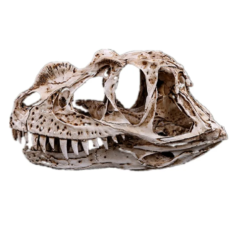 Modelo de cráneo de ceratosaurio, cráneo fósil de resina de dinosaurio Rex, figura de modelo coleccionable, adorno de acuario