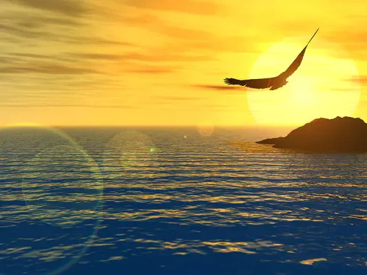 

HGLRC Thor PRO LIPO Battery Balancer Charger Board 40A XT60 XT30 2-6S LIPO Charger for IMAX B6 ISDT Q6 Nano Reward6 Pro P6