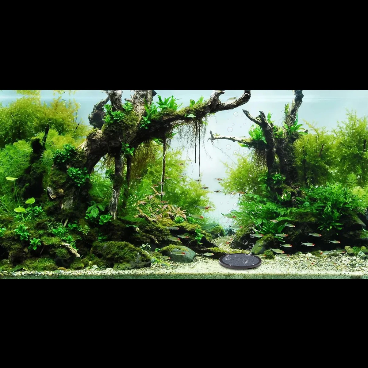 

10 Cm Bubble Oxygenated Stone Fish Tank Aquarium Accessories Air Stones for Tanks