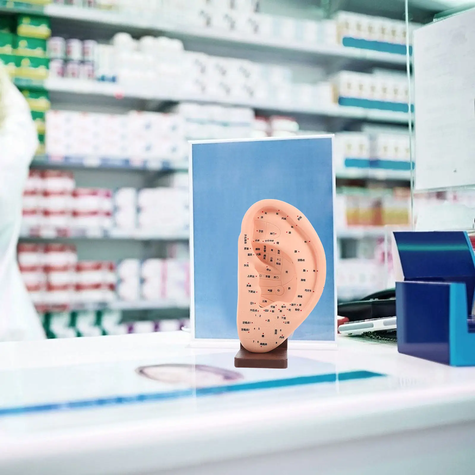 

Учебная модель уха с реалистичными точками акупунктуры и отражениями, 1 шт., с подставкой, прочный обучающий инструмент для изучения массажа уха