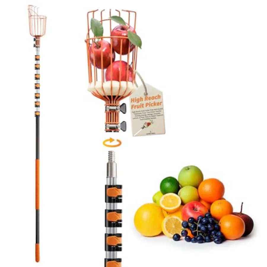 

Telescoping Fruit Picker Pole with Basket 5-30 ft for Apple Orange Mango Avocado Lemon Pear// High-Reach Extension Tool in Silv