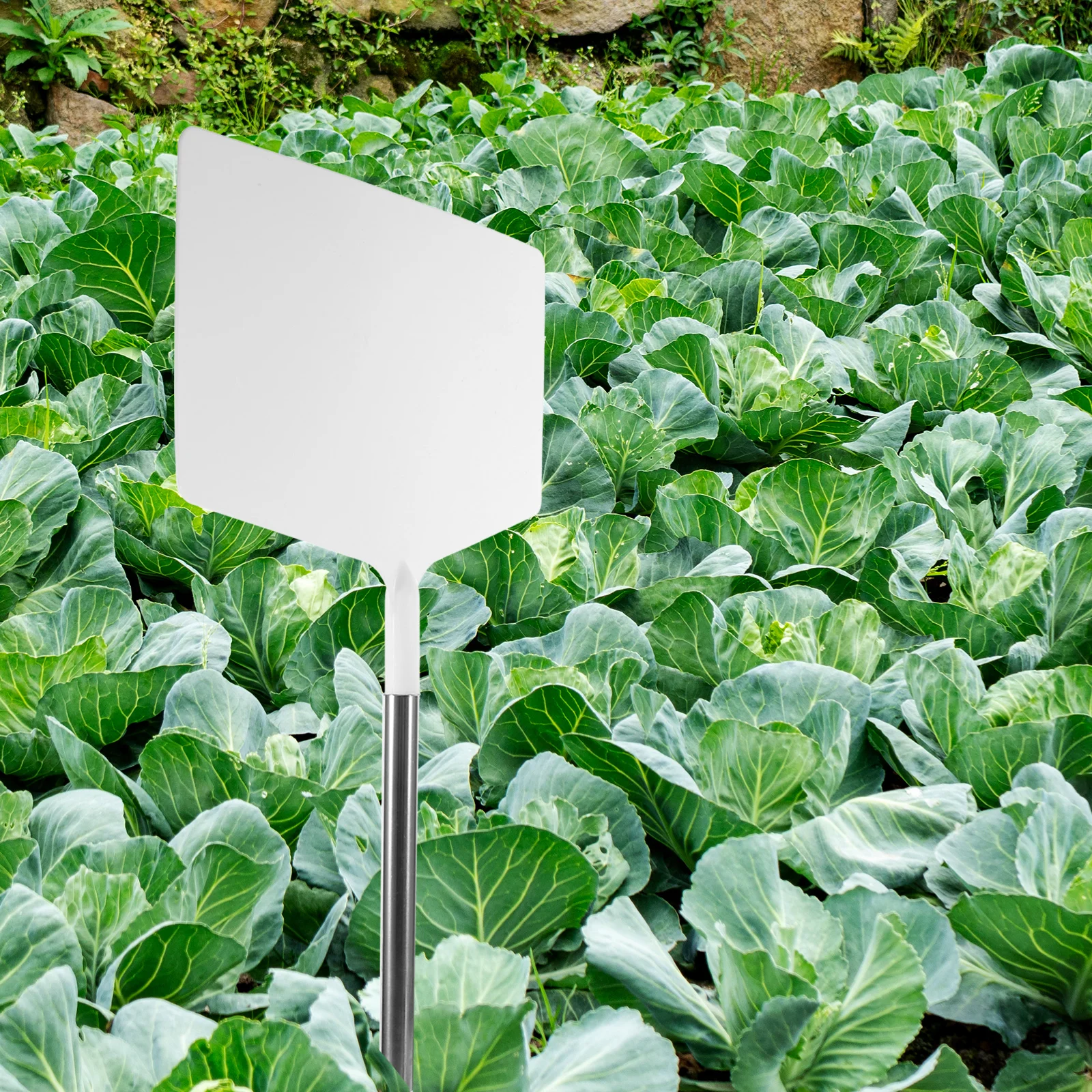 

Garden Plant Label Plastic Tags Creative Design Markers for Potted Plants Nursery Garden Durable Gifts Plastic Plant Label