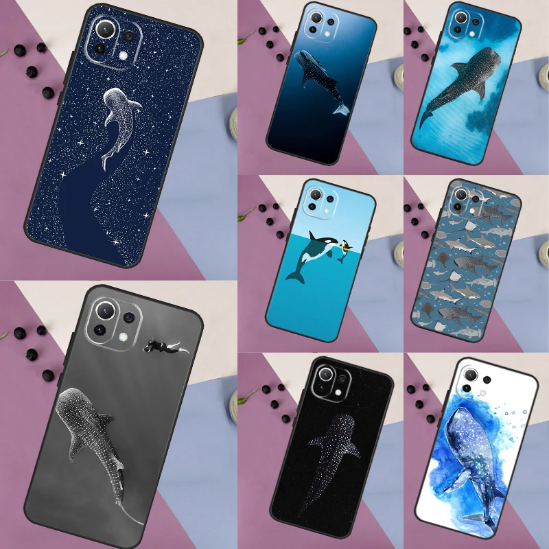 Whale Sharks Fish C… - image