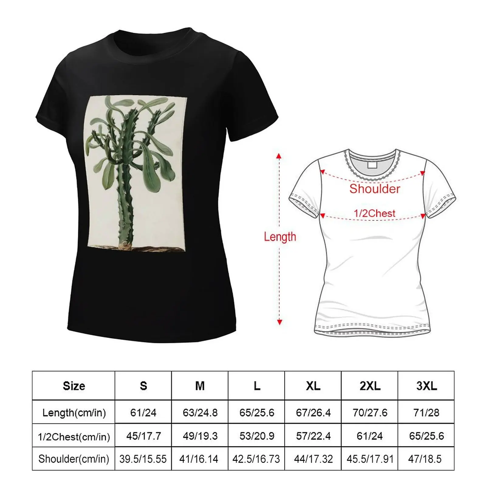 Euphorbia by Jan Moninckx T-Shirt summer top anime clothes funny graphics luxury designer clothing Women
