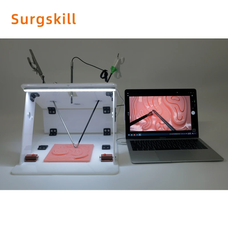 Imagem -02 - Caixa de Treinamento Laparoscópica com Câmera Endoscópica Usb e Conjunto de Instrumentos de Treinamento