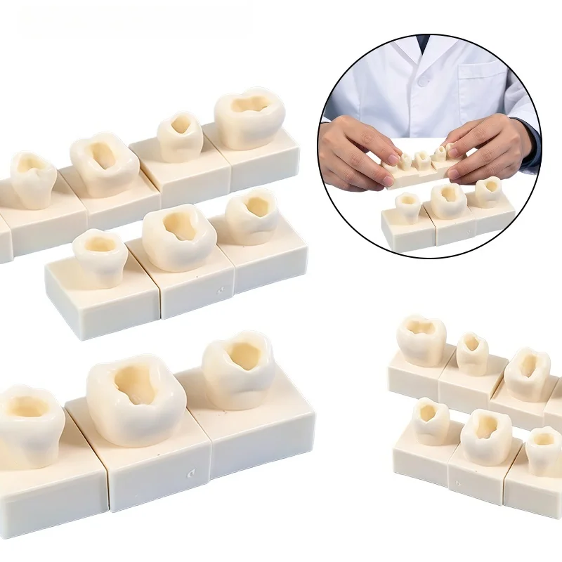 8Pc Dental Student Practice Models for Resin Fillings, Cavity-filling Inlays, Molar Resin Tooth Particles, Dental Materials