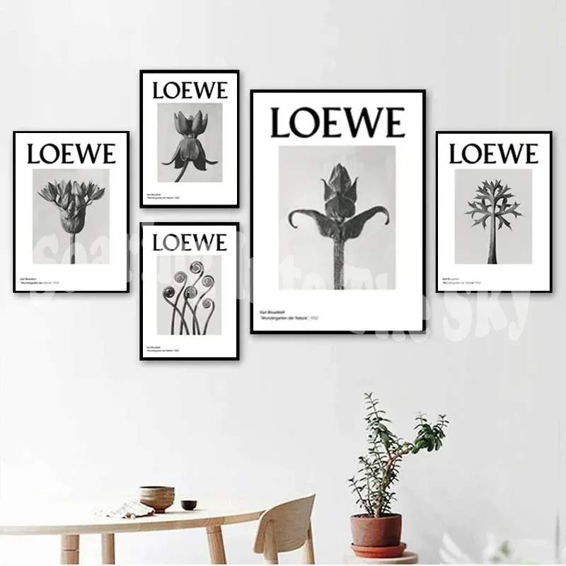 Black White Modern Wall Art Flower Leaf Nordic Canvas Painting Posters and Print Simple Nature Plant Loewe Picture Home Decor