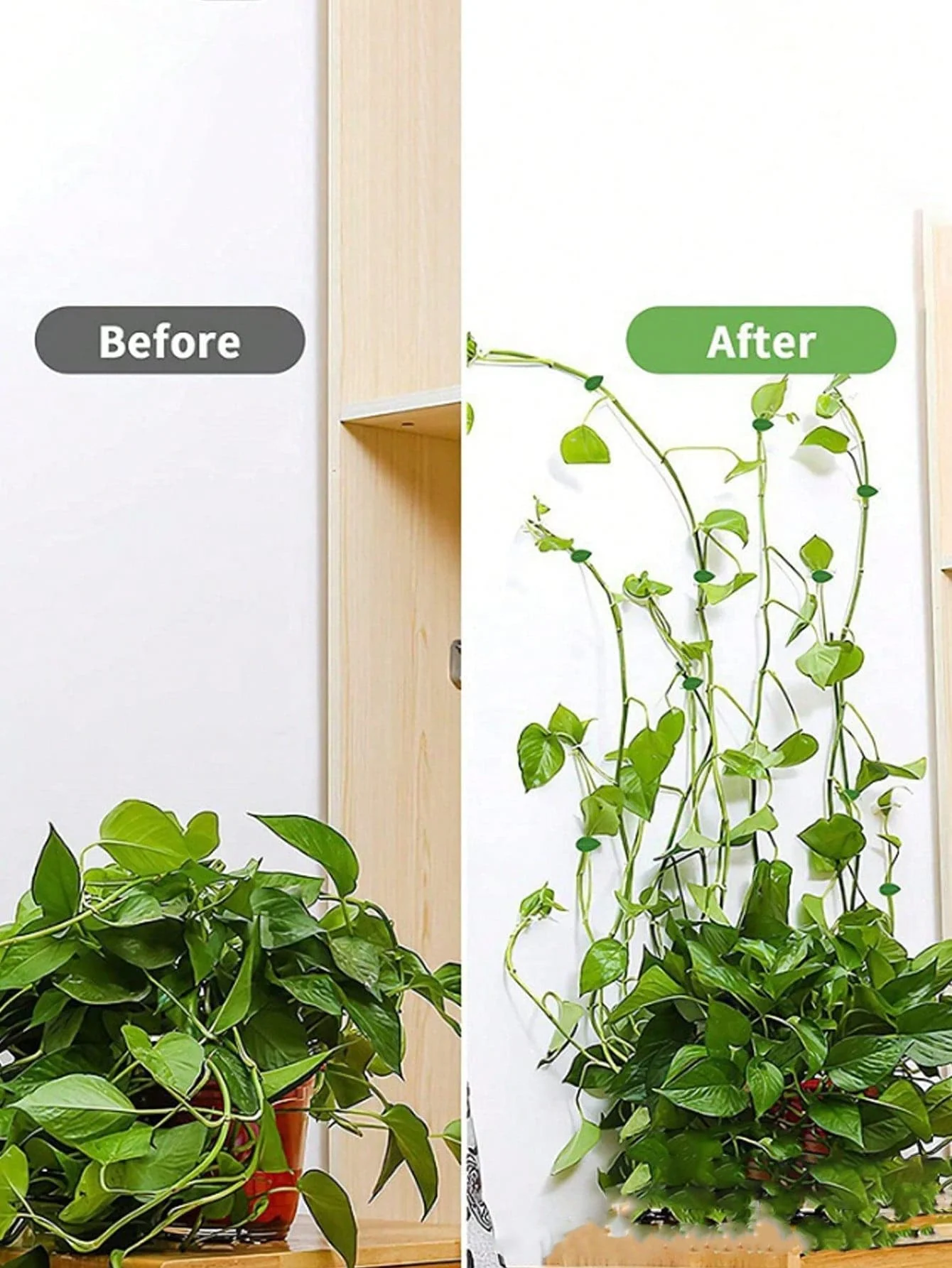 10/20/50Pcs Invisible Plant Climbing Wall Fixture Clips Rattan Vine Bracket Fixed Buckle Leaf Clips Traction Holder Garden