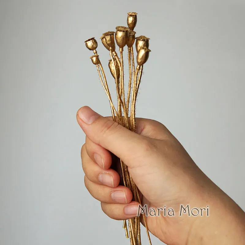 10 Stück/konservierte Blumen, Mais Mohn, Obst, Heimdekoration, DIY-Material, Kristallkleber, handgefertigte Kerzen, Epoxidharzblumen, Gold, Silber – Detail 3