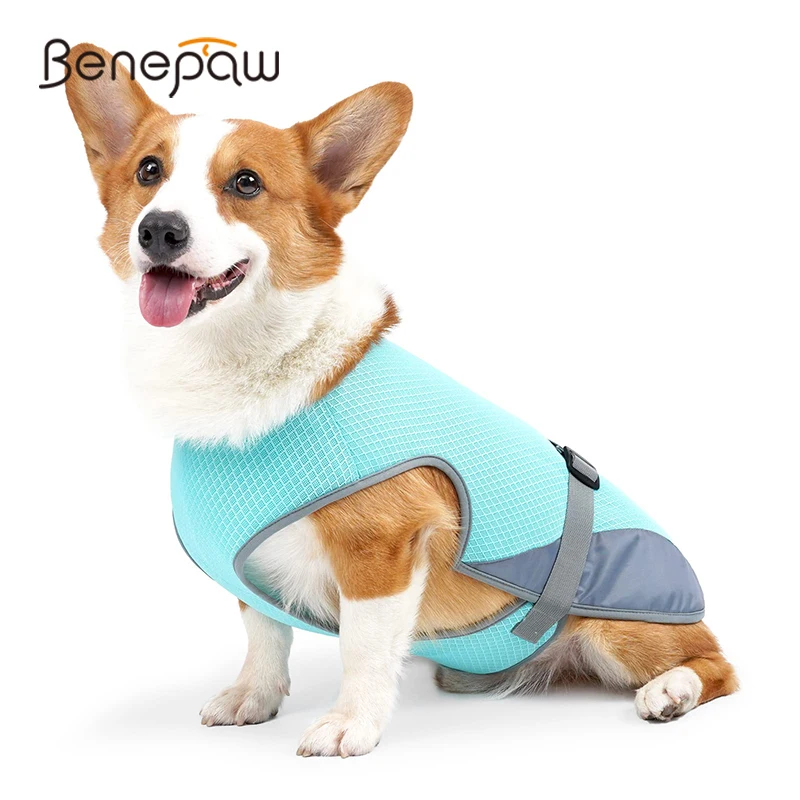 

Benepaw Cooling Dog Vest Summer Breathable UV Protection Cool Pet Clothes Lightweight Puppy Jacket For Walking Training Camping