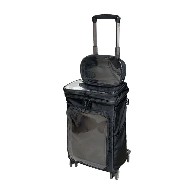 Harajuku Style Cartoon Transparent Luggage 20 inch, Clear PVC Cabin Bag Carry On Transparent Rolling Suitcase with Wheels