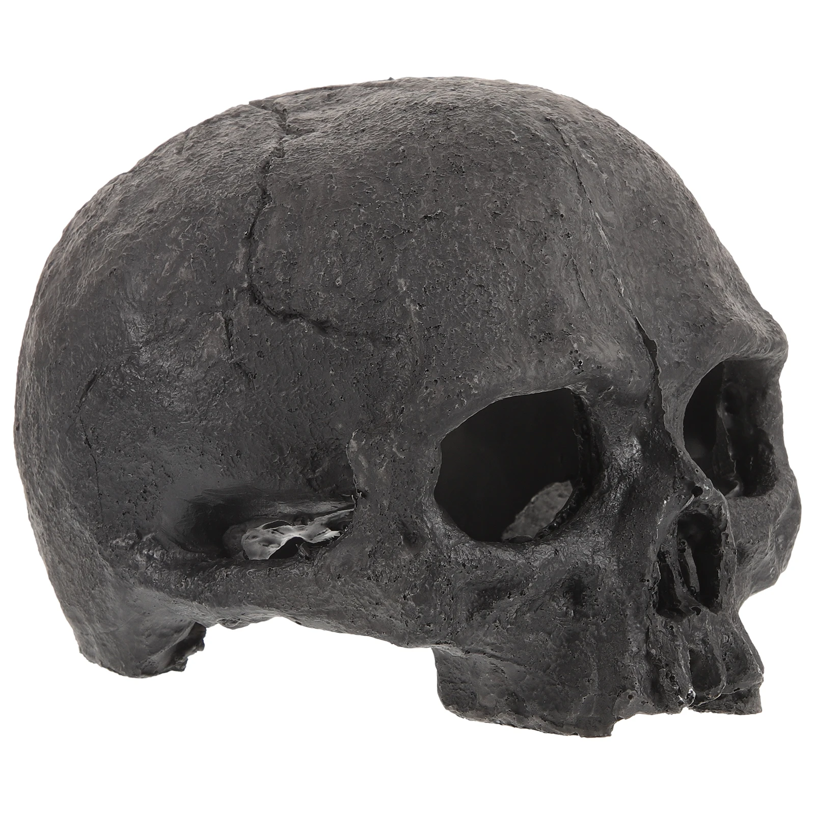 

Skull Ornaments Fish Tank Landscaping Figurine For Reptile Bearded Dragon Decoration Accessories Decorations Hideout