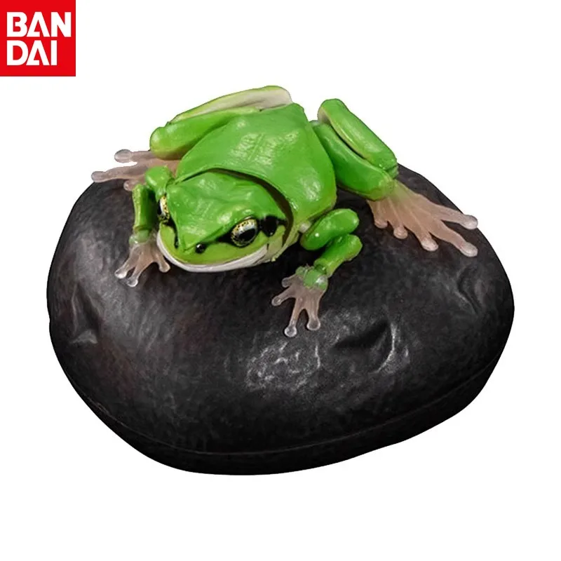 

BANDAI Simulated Animal Model Rhacophorus Hylachinensis Different Style Models Active Joint Action Figure Desktop Decoration