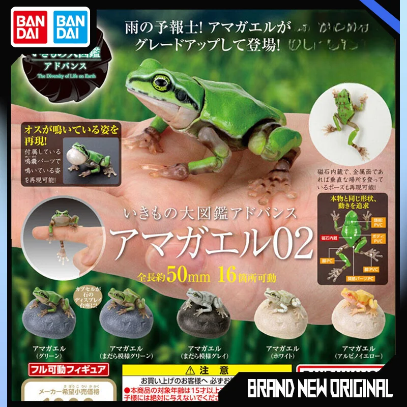 

BANDAI Biological Encyclopedia Figures Model Tree frog rain frog frog Insect series Gashapon Original toys