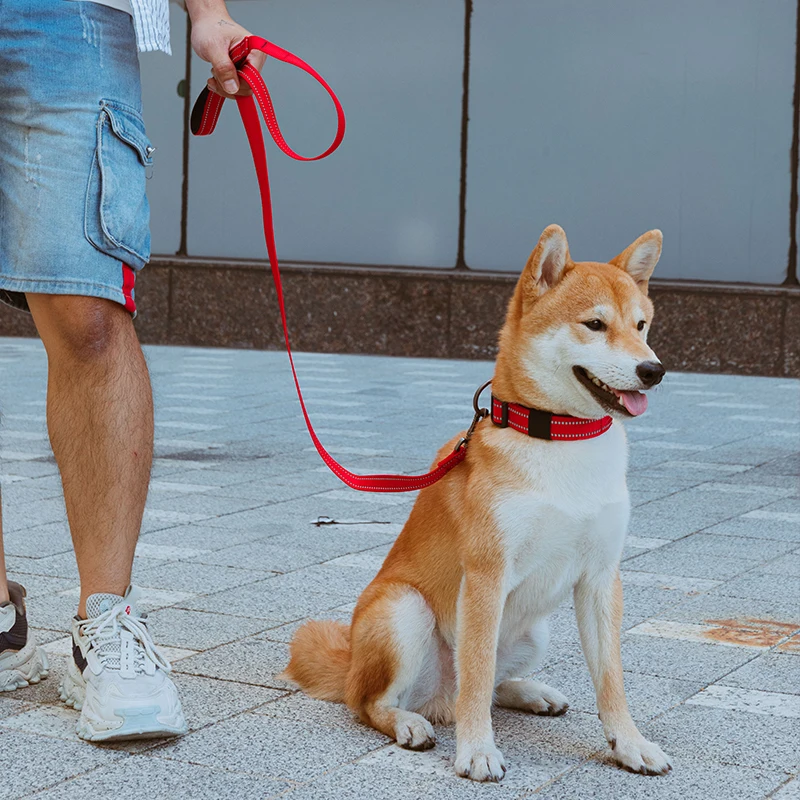 لينة الكلب الحيوانات الأليفة المقود تسخير عاكس النايلون قابل للتعديل المقود القط المشي التدريب المقاود 0.6 بوصة 6 اللون