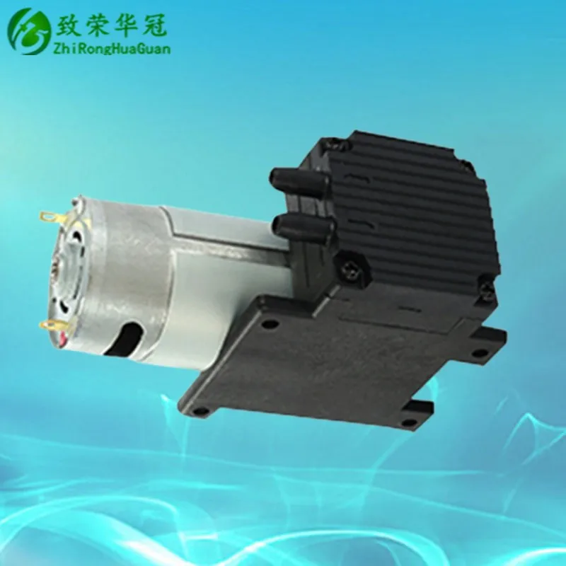 Micro  Vacuum Pump 12V Diaphragm Pump 24V High Flow High Pressure Micro Air Pump
