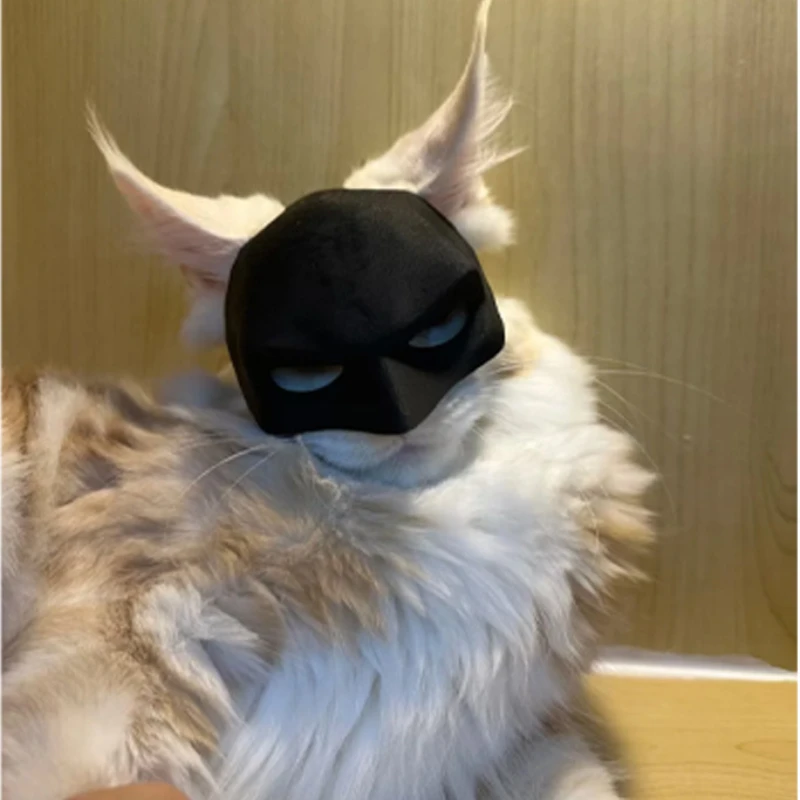 Cat Costume Mask