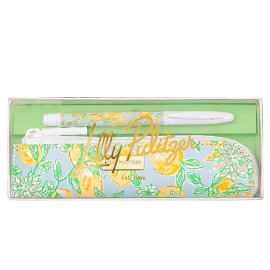 juego-de-boligrafos-de-metal-y-estuche-con-cremallera-boligrafo-de-tinta-negra-con-estuche-de-boligrafo-de-cuero-vegano-para-hacer-limonada