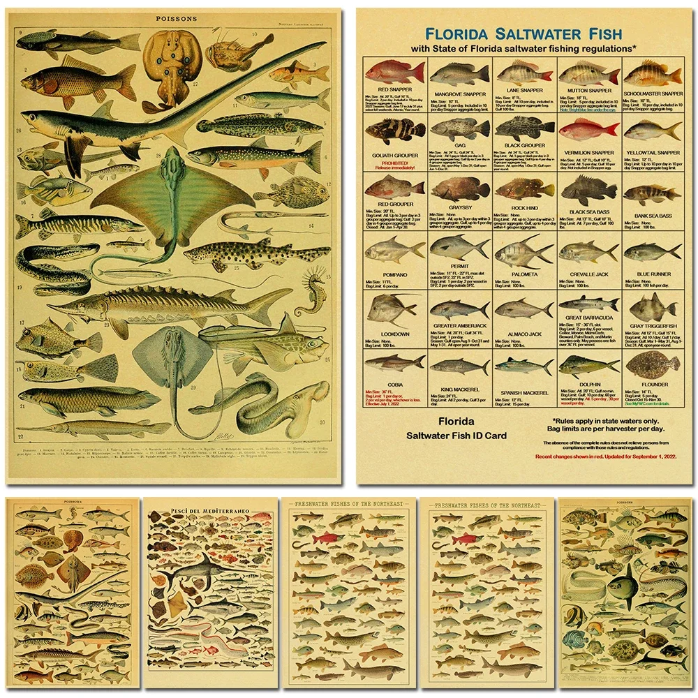 Póster de pared ACE Fishing Fish Sea, impresiones y carteles, decoración para el hogar, sala de estar, arte, Bar, cafetería, pintura de imágenes sin marco