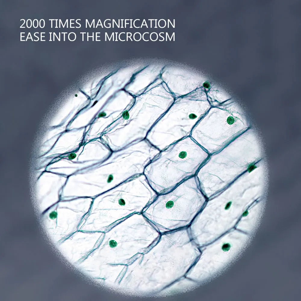 500w Pixel High-Definition Visuele Wifi Digitale Microscoop Industriële Microscoop Draagbare Elektronenmicroscoop