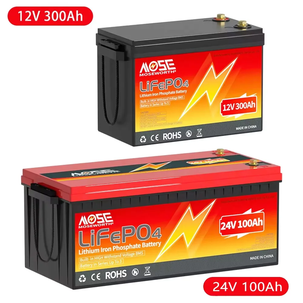 

24V 100Ah LiFePO4 Battery 12V 300Ah Lithium Iron Phosphate Battery Built in BMS 8000+ Cycles Rechargeable Portable Powerbank