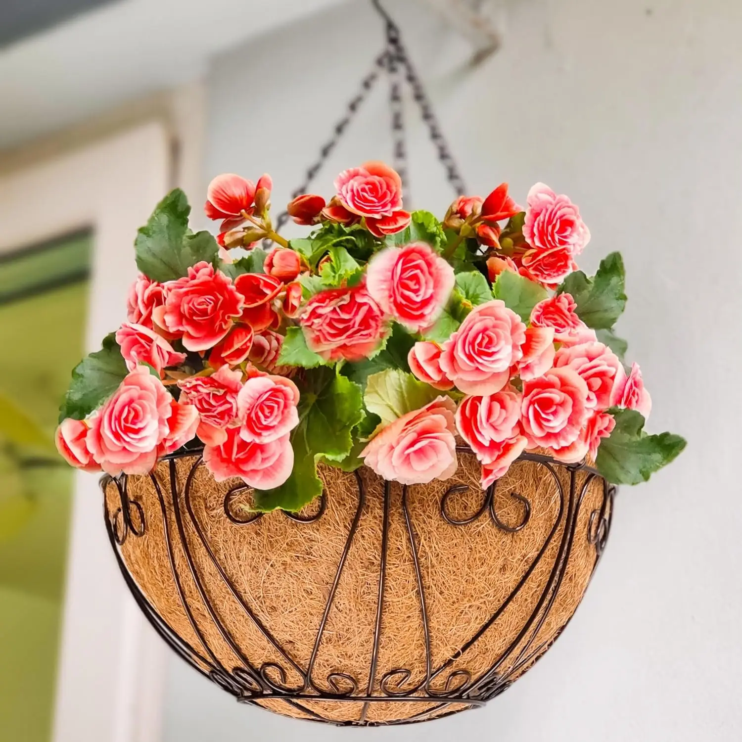 

Large Black Metal Wire Hanging Planters (18 Inch, 2 Pack) with Coco Liner for Outdoor Garden Balcony Deck Decor