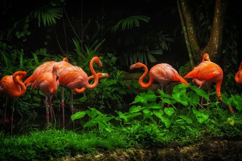 

IFlight BLITZ PDB Pro 330A Mini Power Hub Power Distribution Board With Dual BEC Output 5V 3A /12V 2A Support Current 88A/55A