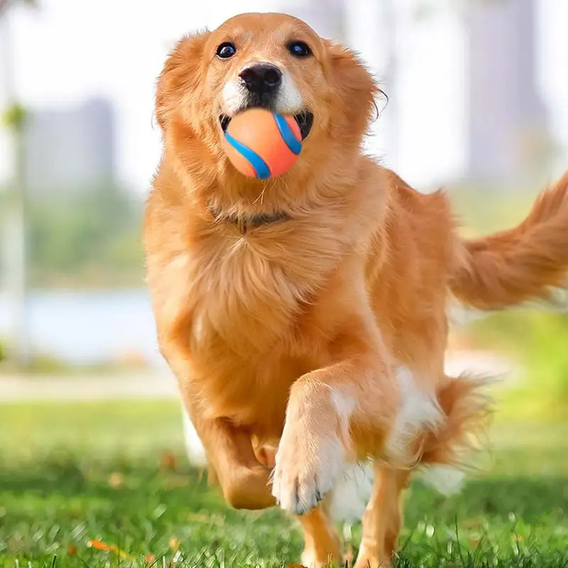 Dog Toy Ball Dog Fetch Ball Toy Fun Pet Supplies Solid Elastic Ball Dog Chew Toy Mentally Stimulating Toy For Large Medium Small