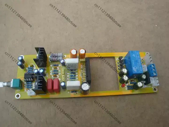 Switchable Stereo/Mono Amp Board Preamp+Power Chip Fever Home Speaker Audio DIY Accessories
