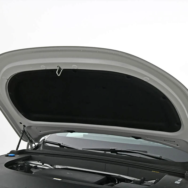 Carbon Fiber Engine Hood for L8L9