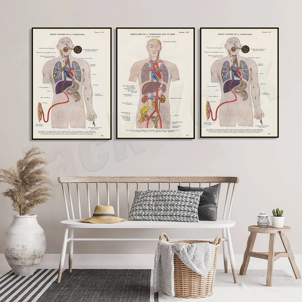 طباعة الرحل الطبية من عام 1952، ملصق تشريح الرحلان، هدية لقسم رئوي لتزيين مكتب الطبيب #2