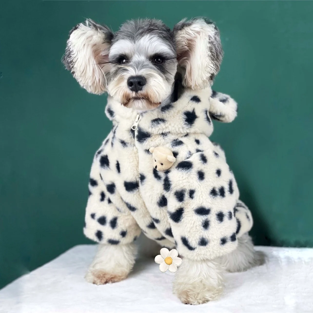 Autumn and Winter Dog Clothes Pet Spotted Plush Jacket Schnauzer French Dou Corgi Pomeranian