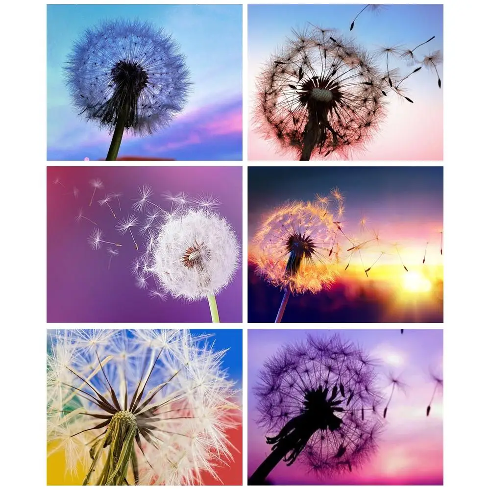 

CHENISTORY Creative Diamond Embroidery Dandelion Diamond Landscape Painting Cross Stitch Plant Home Decor Diamond Art