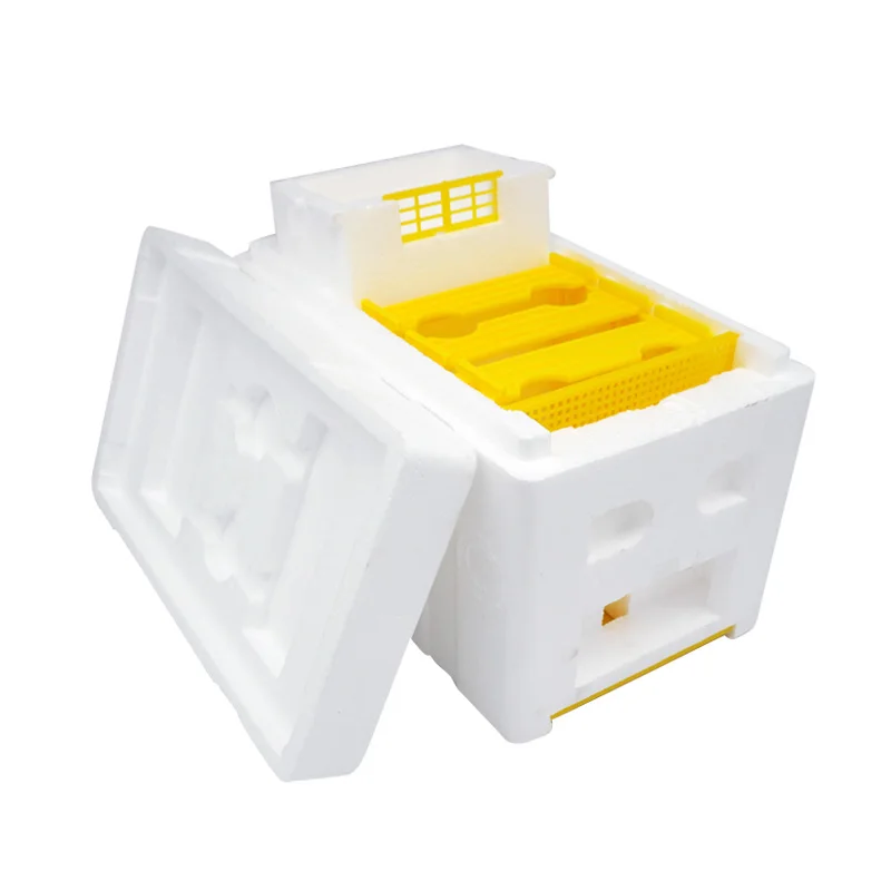 1 قطعة صندوق تربية النحل رغوة صندوق تربية النحل الملكة الملك خلية النحل صناديق التوليم بيت النحل معدات تربية النحل